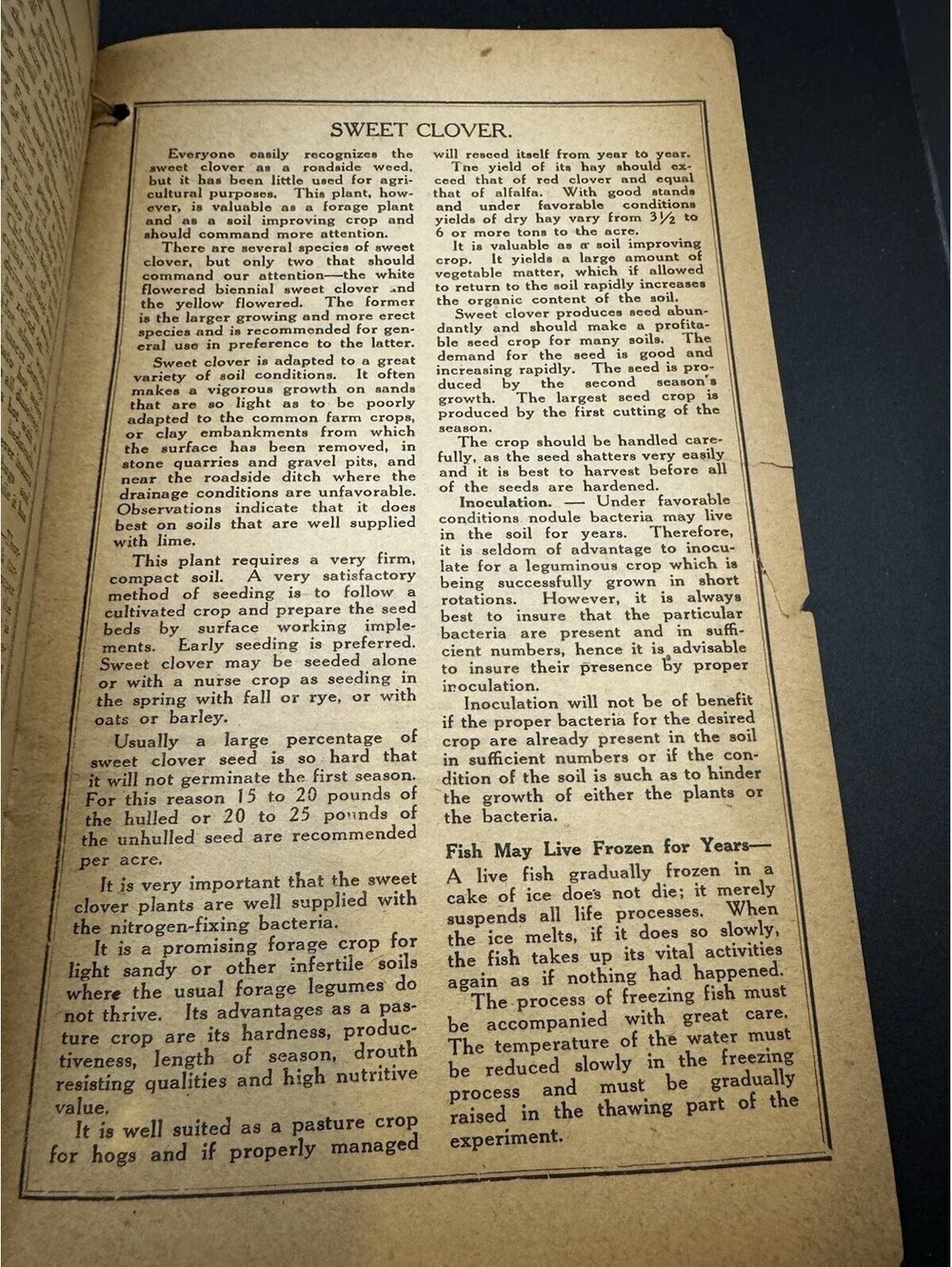 1920 Farmers Almanac Published By The Western Ohio Creamery Co Greenville OH
